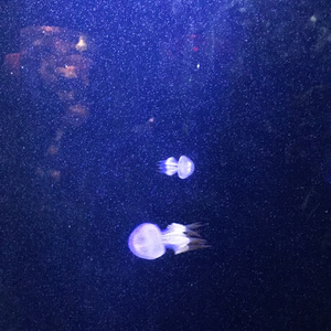 遇见你的时候所有星星都落到我头上