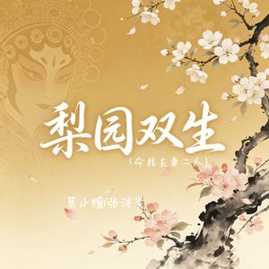 梨园双生（今我夫妻二人）