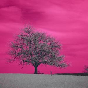 归途有风（Cover 王菲）