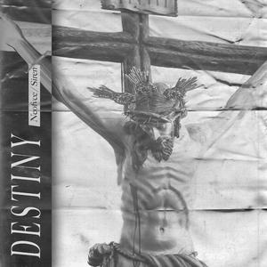 D E S T I N Y