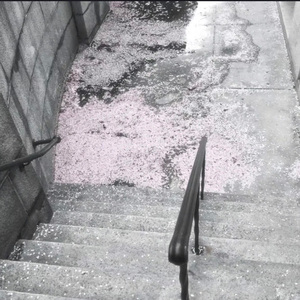 不老城Prod. by harui