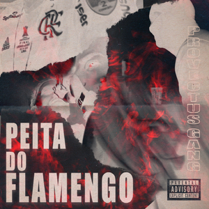 Peita do Flamengo