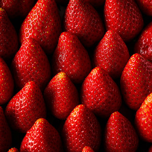 ワクワクごはん