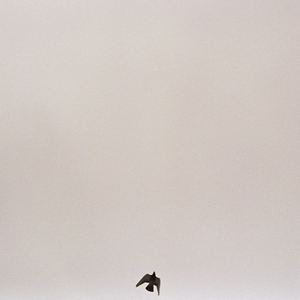 Don't You Know by Now