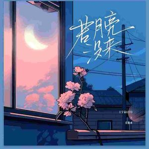 若月亮没来(DJ承耀Remix)