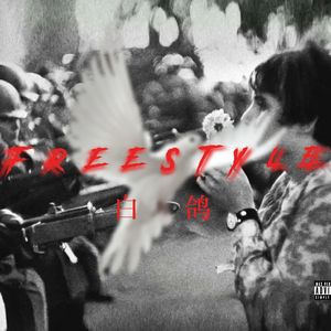 白鸽Freestyle