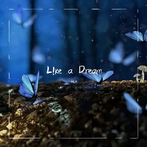Like A Dream.