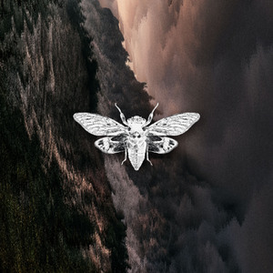 Lokust - Paradise Lost