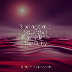 Echoes of Summit Solitude