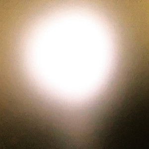 「藪の中」２５の断章＃２２