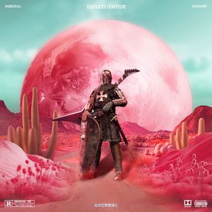 21世纪冒牌骑士