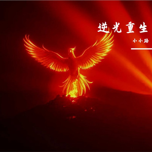 逆光重生