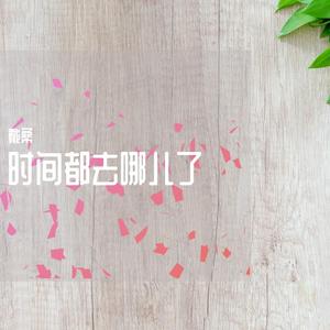 群星-时间都去哪儿了-钢琴（戴桑 Remix）