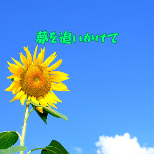 もう一度夢を追いかけて