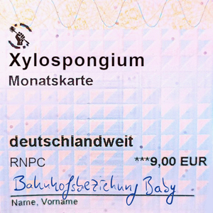 Bahnhofsbeziehung Baby