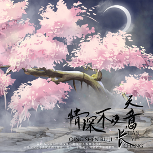 情深不及天意长 伴奏