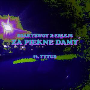 za piękne damy (feat. Tytus)