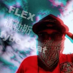 【FREE】flex&TYGA tybe beat