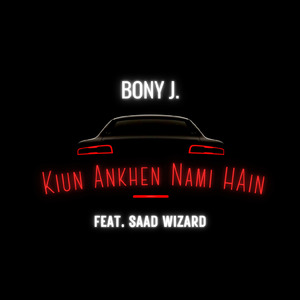 Kiun Ankhen Nami Hain