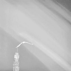 1月9日晚在绿皮火车