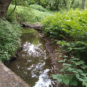 Ďakovná pieseň pre môjho Milovaného Brata Tobiaska Halana sweet dreams come true Z hviezdnych Brán Vesmíru Nekonečného Priateľstva lásky k Bratčekovi