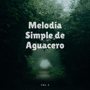 Precipitación Ordenada