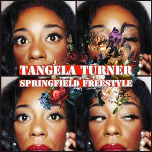 SPRINGFIELD FREESTYLE