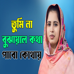 তুমি না বুঝায়লে কথা পাবো কোথায়