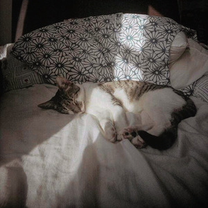 往后余生（翻自 王贰浪）