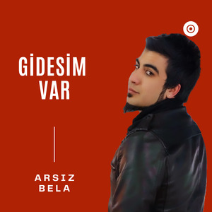 Gidesim Var