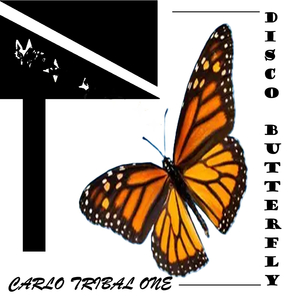 DISCO BUTTERFLY