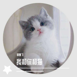 你和我和猫