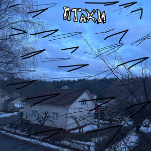 птахи