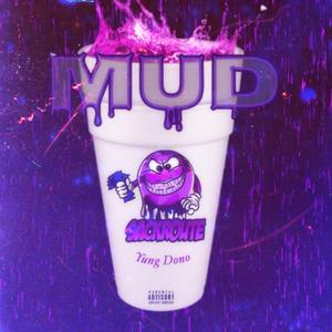 Mud