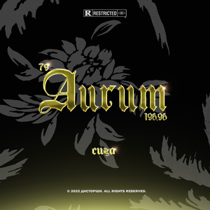 опенинг (intro)