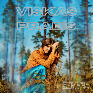 Viskas praeis