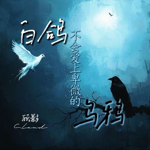 白鸽不会爱上卑微的乌鸦