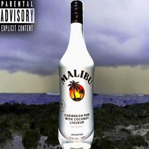 Malibu (feat. Bnder Krnal)