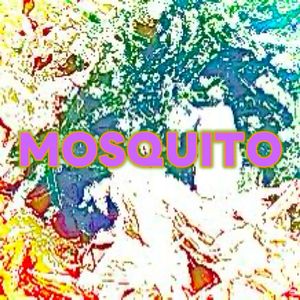 Mosquito