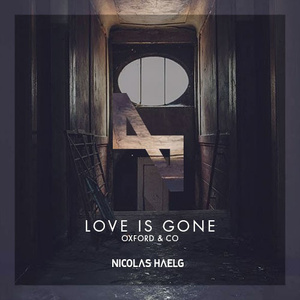 Love Is Gone (Nicolas Haelg Remix)