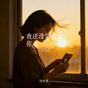我还没学会放你走