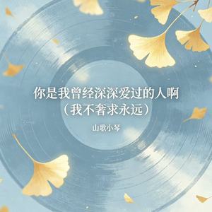 你是我曾经深深爱过的人啊（我不奢求永远）