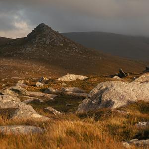 The Roots of: Ember | hoffnungsträger