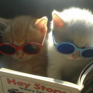 "欲言" sasi x bobby x sad piano x 痛苦旋律伴奏