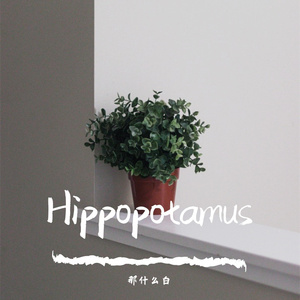 Hippopotamus