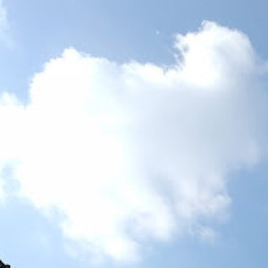 君の本当あなたの嘘