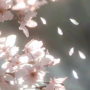 小城谣