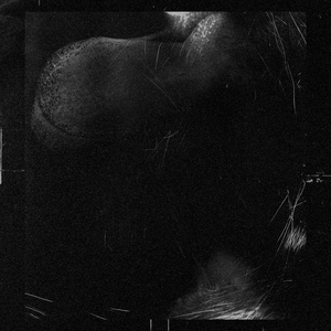 Особенности