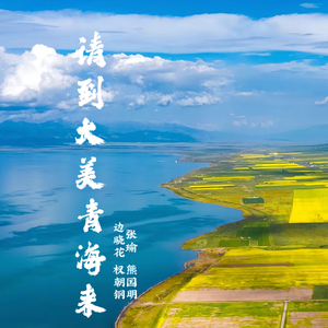 请到大美青海来.wav