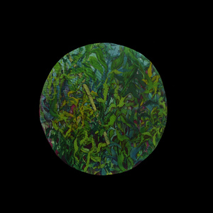 Toky (Guerrero Azul)